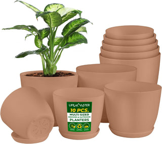 Planter Pots with Drainage Holes